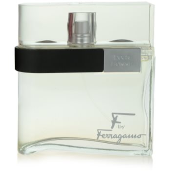 Fotografie Salvatore Ferragamo F by Ferragamo Pour Homme toaletní voda pro muže 100 ml