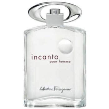 

Salvatore Ferragamo Incanto Pour Homme туалетна вода для чоловіків 100 мл