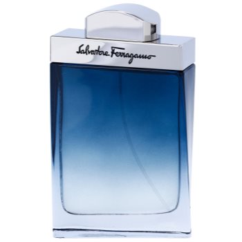 

Salvatore Ferragamo Subtil Pour Homme туалетна вода для чоловіків 100 мл