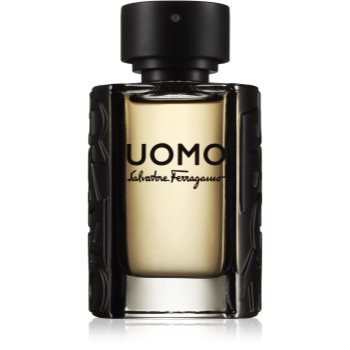poze cu Salvatore Ferragamo Uomo Eau de Toilette pentru barbati 50 ml