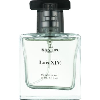 Santini cosmetic luis xiv. eau de parfum pentru bărbați
