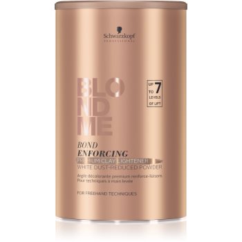 Schwarzkopf professional blondme 