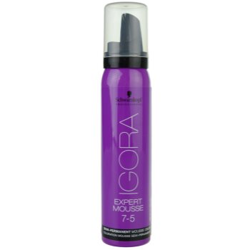 Fotografie Schwarzkopf Professional IGORA Expert Mousse barvicí pěna na vlasy odstín 7-5 Medium Blond Gold 100 ml