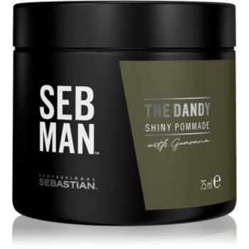 

Sebastian Professional SEBMAN The Dandy помада для волосся для природньої фіксації 75 мл