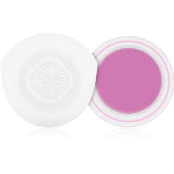 

Shiseido Eyes Paperlight кремові тіні для повік відтінок Shobu Purple 6 гр