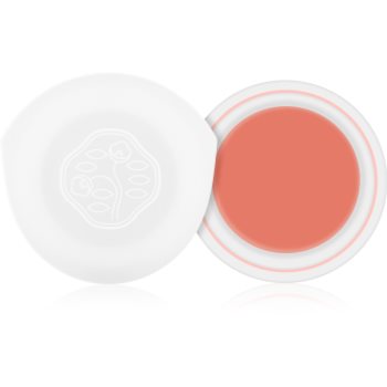 

Shiseido Eyes Paperlight кремові тіні для повік відтінок Sango Coral 6 гр