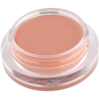 

Shiseido Eyes Shimmering Cream кремові тіні для повік відтінок PK 224 6 гр