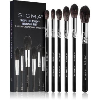 Sigma Beauty SOFT BLEND  set perii machiaj pentru femei poza