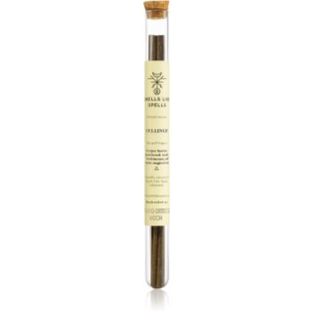Smells like spells norse magic dellingr betisoarele parfumate (vivacity/recreation)
