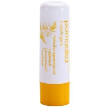 

Sylveco Lip Care бальзам для губ з ефектом пілінгу 4,6 гр