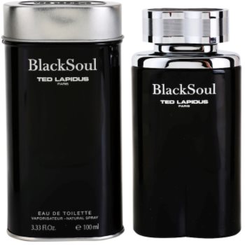 Fotografie Ted Lapidus Black Soul toaletní voda pro muže 100 ml