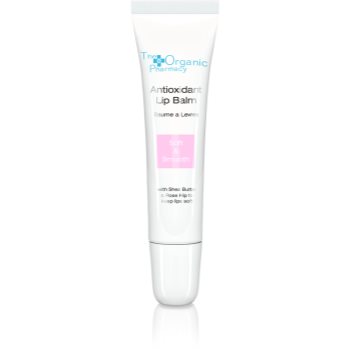 The organic pharmacy skin balsam antioxidant de buze