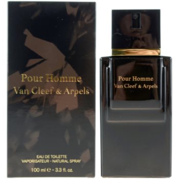 Van Cleef & Arpels Pour Homme toaletní voda pro muže 100 ml