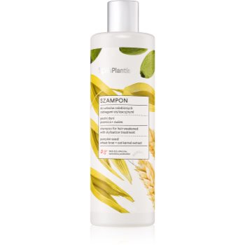 Vis plantis herbal vital care pumpkin seed oil sampon pentru par deteriorat si slab