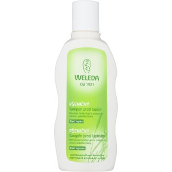 Weleda hair care sampon cu extract de grau anti matreata