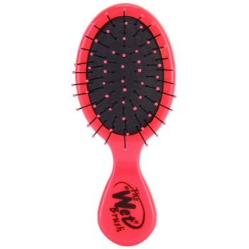 Wet Brush Squirts perie de par