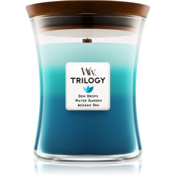 

Woodwick Trilogy Gentle Rain ароматизована свічка 275 гр середня