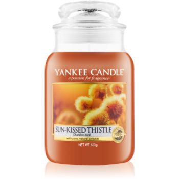 Yankee Candle Sun-Kissed Thistle lumanari parfumate 623 g Clasic mare
