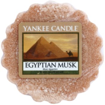 Yankee Candle Egyptian Musk ceară pentru aromatizator 22 g