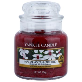 Yankee Candle Madagascan Orchid lumanari parfumate 104 g Clasic mini