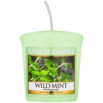 Yankee Candle Wild Mint lumânare votiv 49 g
