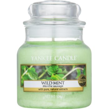 Yankee Candle Wild Mint lumanari parfumate 104 g Clasic mini