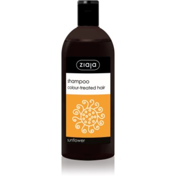 Ziaja family shampoo șampon pentru păr vopsit
