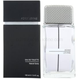 Obrázok ADAM LEVINE Adam Levine for Men EDT 100ml