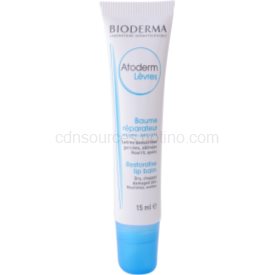 Obrázok BIODERMA Atoderm LIP BALM balzam na pery 1x15 ml