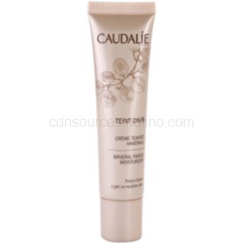 Obrázok Caudalie Teint Divin minerálny hydratačný tónovací krém odtieň Light To Medium Skin 30 ml