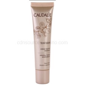 Obrázok Caudalie Teint Divin minerálny hydratačný tónovací krém odtieň Medium To Dark Skin 30 ml