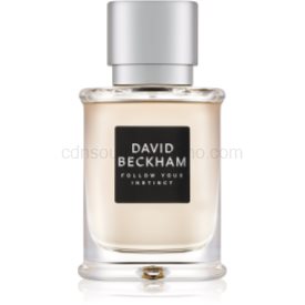 Obrázok David Beckham Follow Your Instinct toaletná voda pre mužov 50 ml  