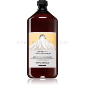 Obrázok Šampon DAVINES NATURALTECH Purifying Shampoo 1l