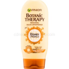 Obrázok GARNIER Botanic Therapy Honey  200 ml (3600542094412)