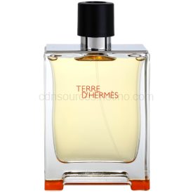 Obrázok Hermes Terre D´Hermes Toaletná voda 200ml TESTER