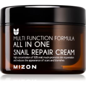 Obrázok MIZON All In One Snail Repair Cream 120 ml (8809390126954)