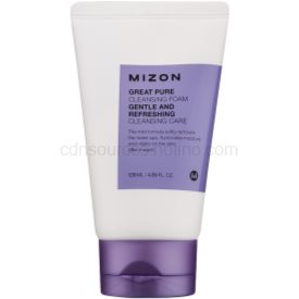 Obrázok Mizon Great Pure čistiaca pena  na tvár  120 ml