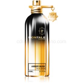 Obrázok Montale Paris Amber Musk 100 ml unisex