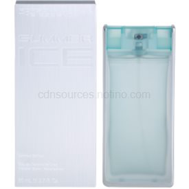 Obrázok Porsche Design The Essence Summer Ice toaletná voda pre mužov 80 ml  