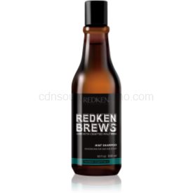 Obrázok Redken Brews   300 ml