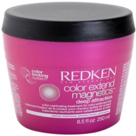 Obrázok REDKEN Color Extend Magnetics Mask Maska na vlasy 250ml