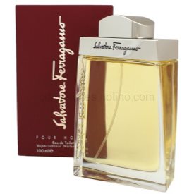 Obrázok SALVATORE FERRAGAMO Pour Homme EDT 100ml