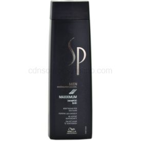 Obrázok Šampon WELLA SP Men Maxximum Shampoo 250ml