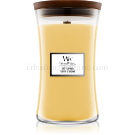 Obrázok Woodwick Oat Flower vonná sviečka s dreveným knotom 610 g