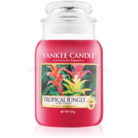 Obrázok Yankee Candle Tropical Jungle vonná sviečka 623 g Classic veľká 