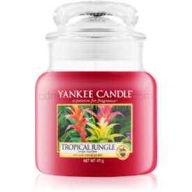 Obrázok Yankee Candle Tropical Jungle vonná sviečka 411 g Classic stredná 