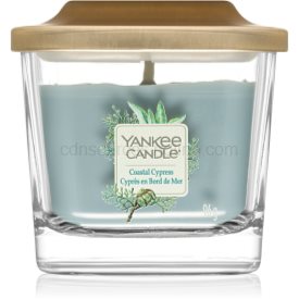 Obrázok Yankee Candle Elevation Coastal Cypress vonná sviečka 95,8 g malá 