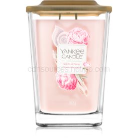 Obrázok Yankee Candle Elevation Salt Mist Peony vonná sviečka 552 g