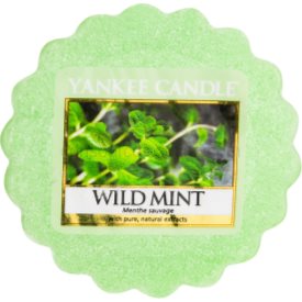 Obrázok Yankee Candle Wild Mint vosk do aromalampy 22 g  