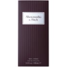 Abercrombie & Fitch First Instinct toaletná voda pre mužov 100 ml